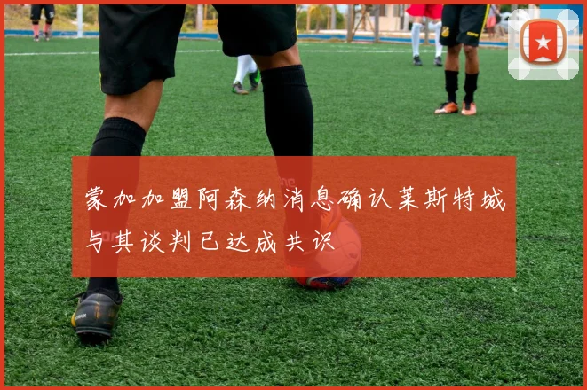 蒙加加盟阿森纳消息确认莱斯特城与其谈判已达成共识